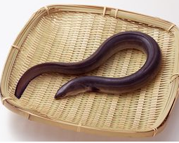 鳝鱼
